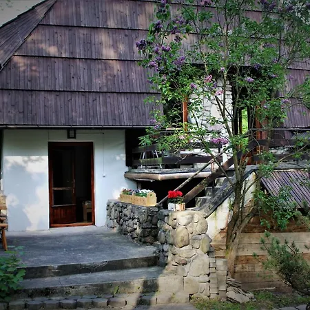 Gawra 木屋 扎科帕内